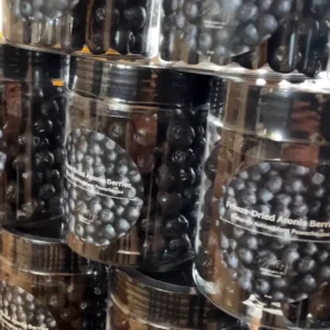Freeze Dried Aronia Berries – 8 oz. Container